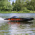 Pro Boat Blackjack 42-inch Brushless 8S Catamaran - Black/Orange RTR (PRB08043T1)