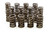 Isky Cams Valve Springs 235D