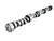 COMP CAMS Comp Cams Oe Roller Small Block Chevy Magnum 224/224 Hydraulic Roller Cam 