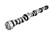 COMP CAMS Comp Cams Chevy Big Block Gen Vi Xtreme Energy 230/236 Hydraulic Roller Cam 