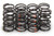 ISKY CAMS Isky Cams 1.095 Valve Springs 16Pk Single W/Damper 