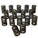 HOWARDS RACING COMPONENTS Howards Racing Components Dual Valve Springs - 1.500 98632 