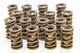 ISKY CAMS Isky Cams 1.560In Valve Springs 9365Plus 