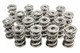 PAC RACING SPRINGS Pac Racing Springs 1.710 Triple Valve Springs (16) Pac-1366H 