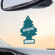  Little Trees U6P-60249-6PACK-6CTS Rainshine Hanging Air Freshener for Car & Home 6 Pack! 