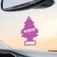  Little Trees U6P-60397 Dragon Fruit Hanging Air Freshener for Car & Home 6 Pack! 