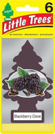  Little Trees U6P-67343-12PACK-6CTS Blackberry Clove Hanging Air Freshener for Car/Home 12 Pack 