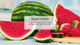 Little Trees CTK-52744-24 Watermelon Scent Air Freshener Vent Wrap for Car & Home - 4 Pack! 