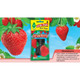  Little Trees Strawberry Scent Air Freshener Vent Wrap For Car & Home - 4 Pack! 
