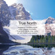  Little Trees U6P-67146-96PACK-6CTS True North Hanging Air Freshener for Car & Home 96 Pack! 