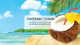  Little Trees 60324-72PACK-6CTS Caribbean Colada Hanging Air Freshener for Car/Home 72 Pack! 