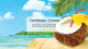  Little Trees 60324-48PACK-6CTS Caribbean Colada Hanging Air Freshener for Car/Home 48 Pack! 