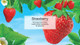  Little Trees U6P-60312-72PACK-6CTS Strawberry Hanging Air Freshener for Car & Home 72 Pack! 