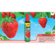 Little Trees Strawberry Scent Car Spray Air Fresheners Non-Aerosol 3.5oz 