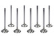 MANLEY Manley Ls1 S/D 1.575 Exhaust Valves 