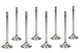 MANLEY Manley Mopar 6.1L Hemi R/M 1.595 Exhaust Valves 