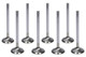 MANLEY Manley Ls1 S/D 1.600 Exhaust Valves 