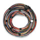HOLLEY Holley Unterminated 15' Flying Lead Main Harness 