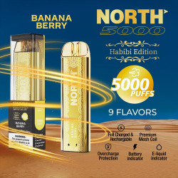 NORTH (HABIBI EDITION) 5000 PUFFS DISPOSABLE VAPE - BANANA BERRY