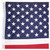 US Flag Printed Polyester 3ft x 5ft with Grommets