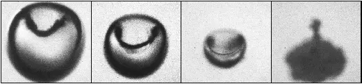 Implosion of Cavitation Bubbles