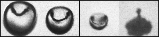 Implosion of Cavitation Bubbles