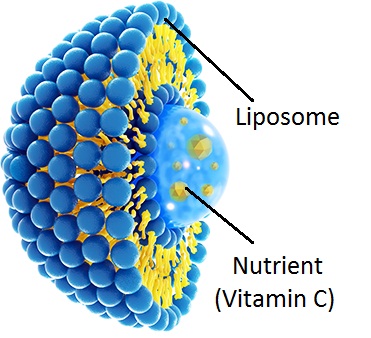 Liposomal Vitamin C