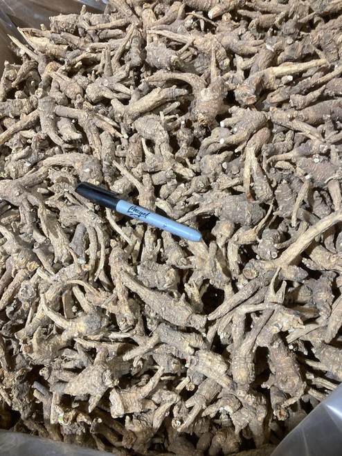 2025 Crop 4 year-old Blemished Roots - 10# Bag 