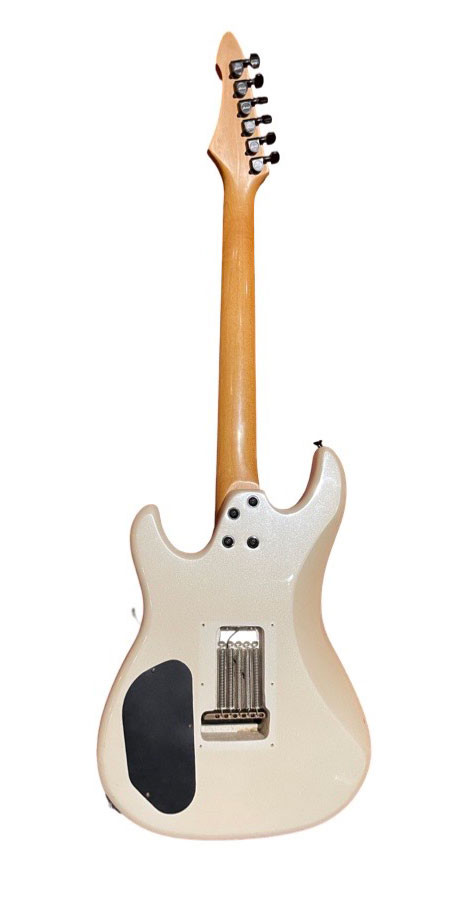 Aria Pro II Warrior Series electric guitar - Guitar Village