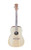 Cole Clark FL1 acoustic guitar