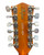 Hofner 1968 492 12 String Acoustic Guitar back of head