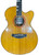  Yamaha Compass CPX-10 CPX10 semi acoustic body