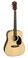 Redding Spruce top Acoustic Dreadnaught Guitar