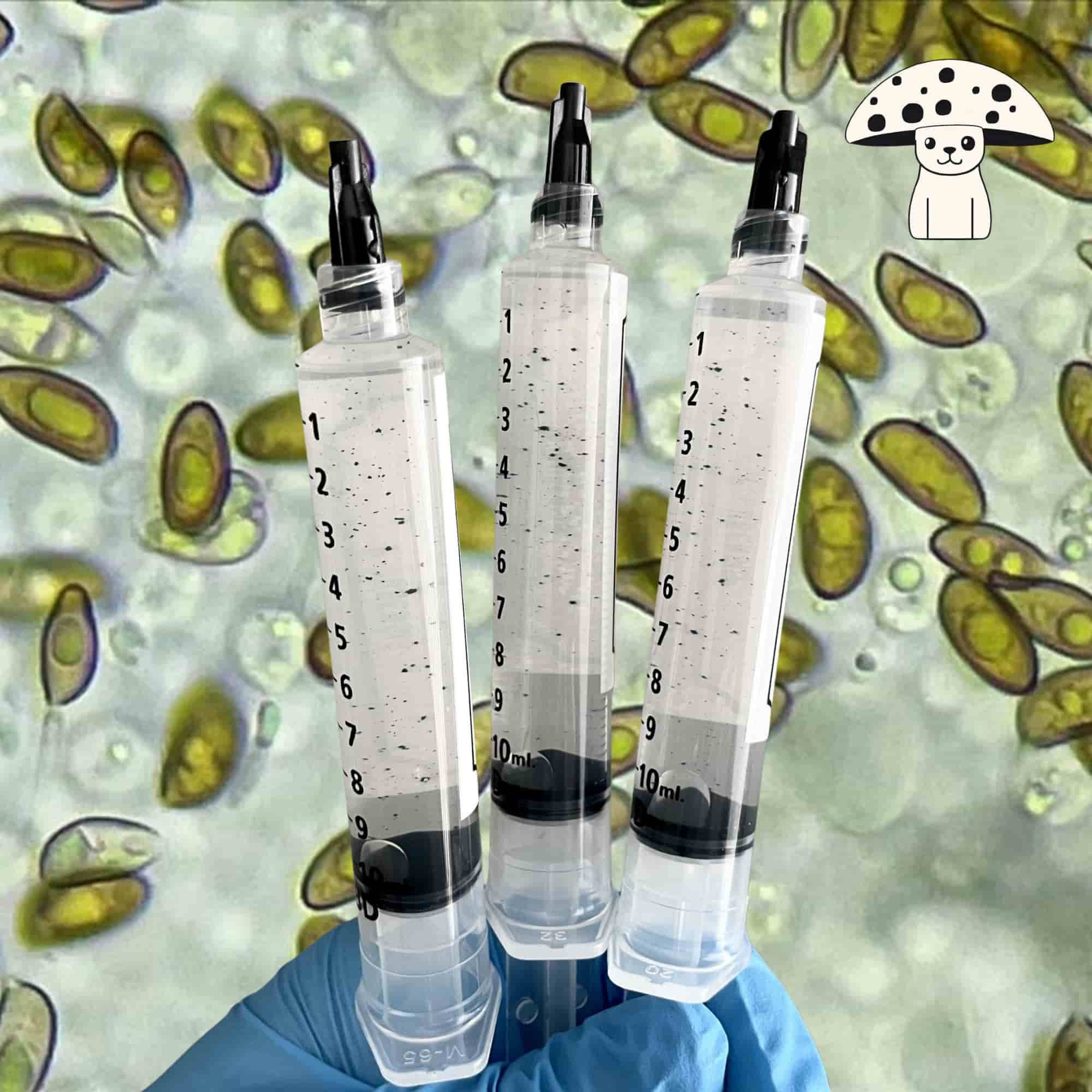 Arnolds Spore Syringe The best Psilocybe Cubensis shroom spore syringes in the UK, Ireland and Europe