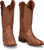 Justin Ladies Boots L8521 12" Magnolia Brandy Full Quill