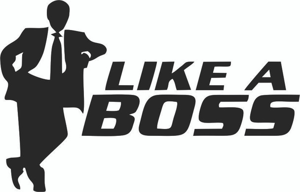 Like A Boss 3