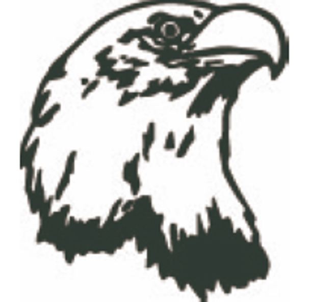 Eagle Head Sticker