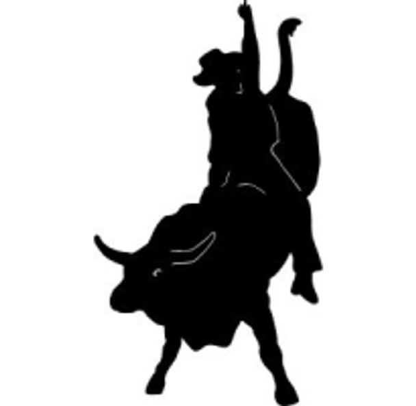 Cowboy Bull Riding