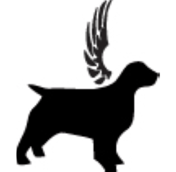 Dog Wings 3