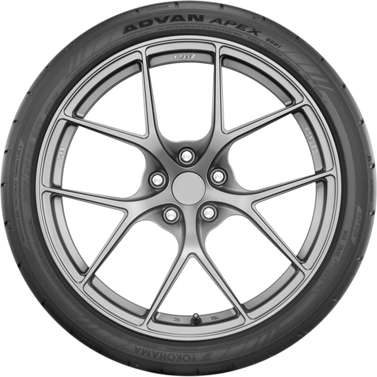 馬55 s-l400.jpg