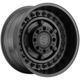 Black Rhino Armory 2012ARY-48170G25