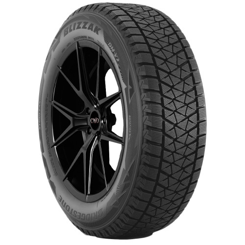 Bridgestone Blizzak DM V2 016-015