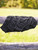 Classic Fit Underwear Set of 3 - Black
