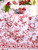Delicate Blossom Napkin Set of 4 - Red