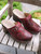 Calliroe Clog - Dark Red Multi