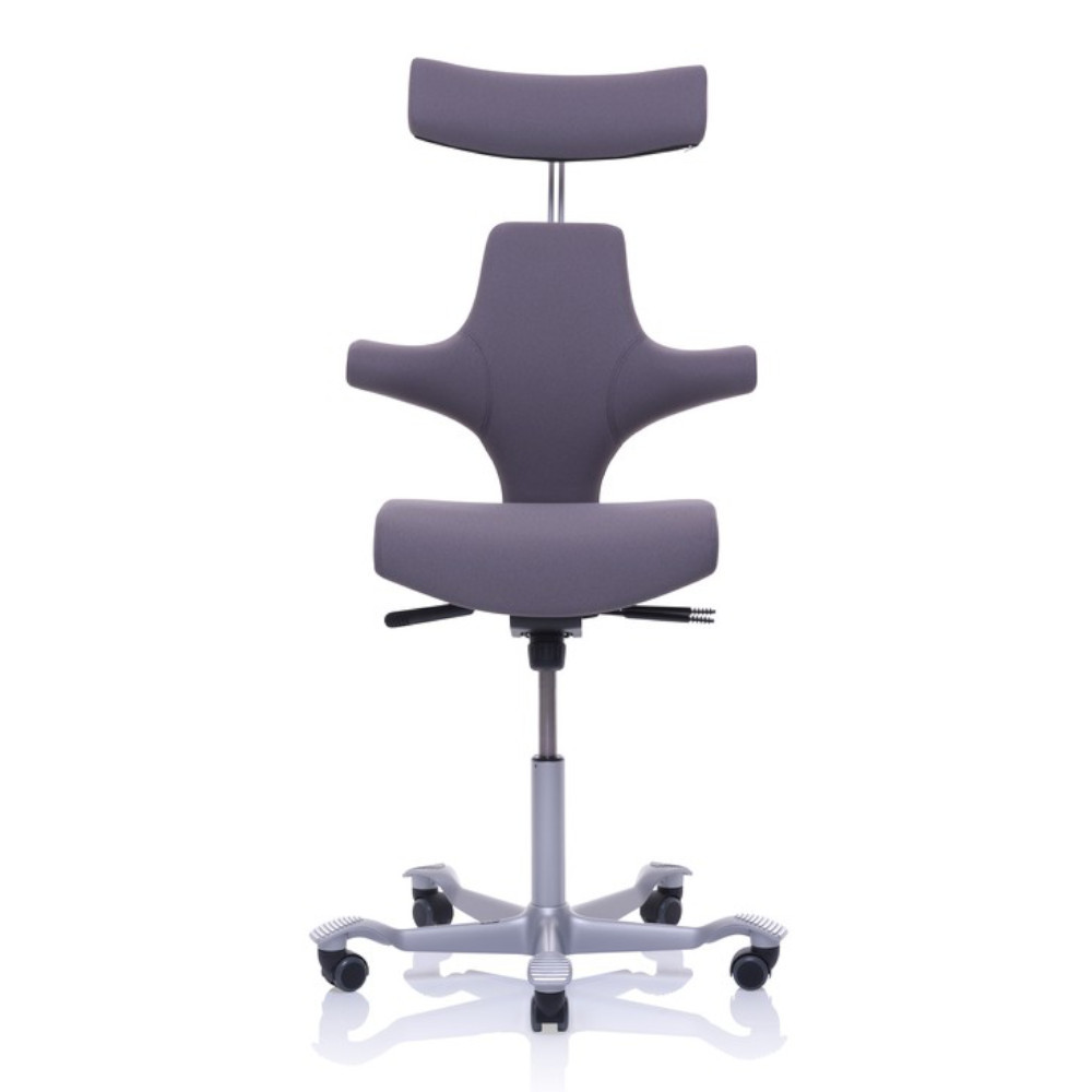 Hag Capisco 8126 8127 Office Chair