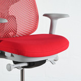 Herman Miller Verus Persimmon TriFlex back Office Chair