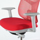 Herman Miller Verus Persimmon TriFlex back Office Chair