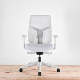 Herman Miller Verus Mineral TriFlex Back Office Chair | Re-Lived