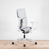 Herman Miller Verus Mineral TriFlex Back Office Chair | Re-Lived